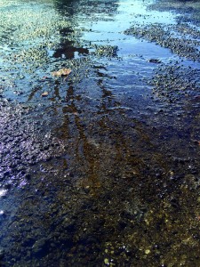 waterboard2