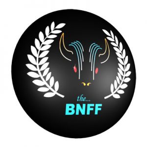 Buffalo Niagara Film Festival
