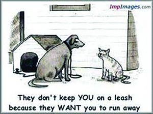 cats2