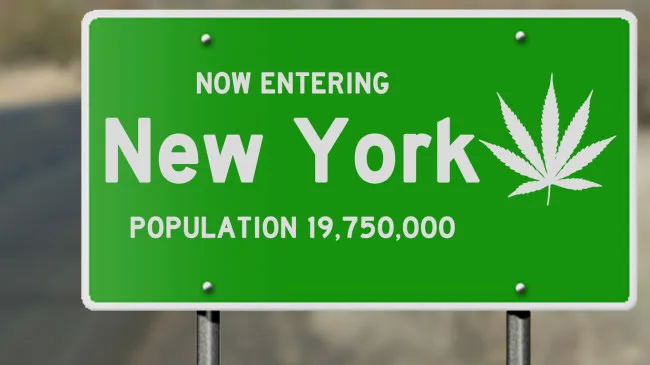 HAMILTON: What New Marijuana are NYS Lawmakers Smoking Increasing Age of Delinquency?