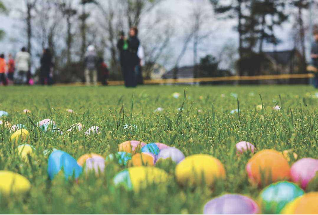 Pinewoods Park Easter Egg Hunt in North Tonawanda
