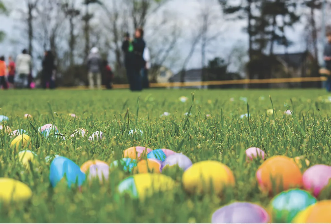 Pinewoods Park Easter Egg Hunt in North Tonawanda