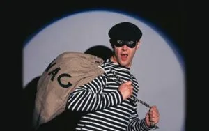 burglar-alamy