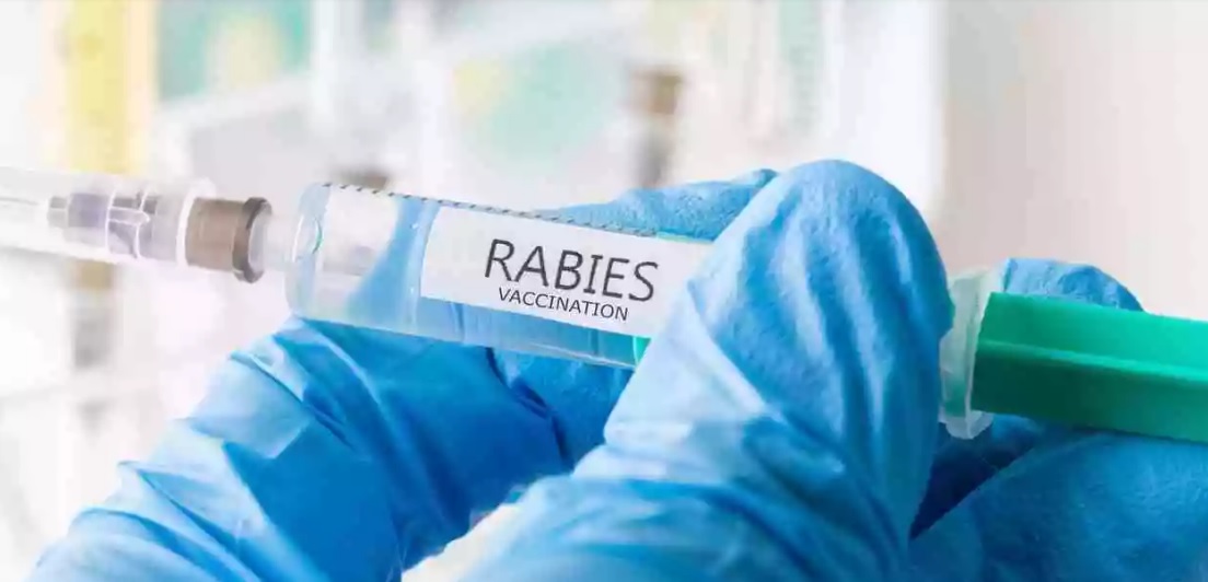Free Rabies shots for County Residents at NT clinic