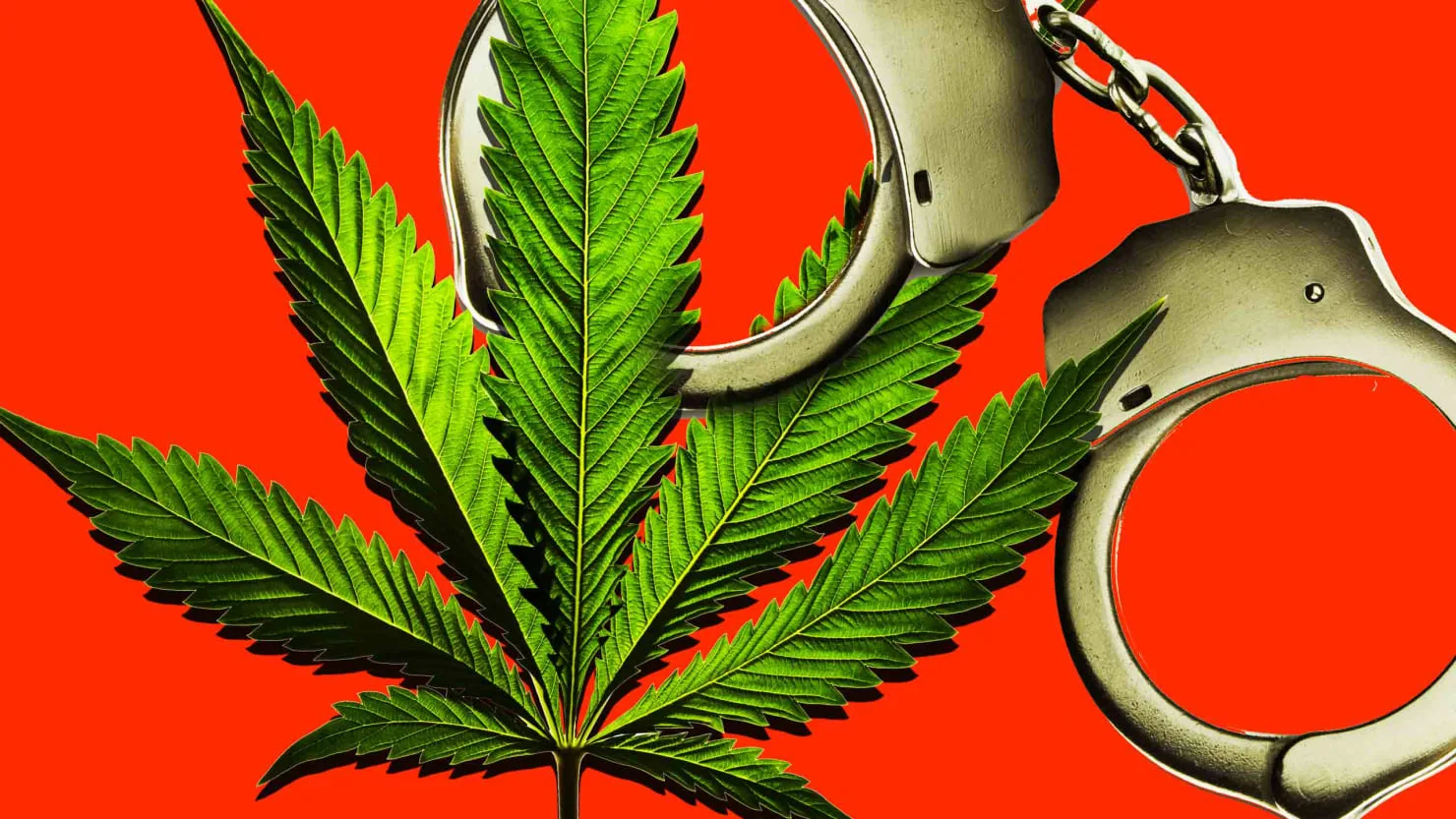 ANALYSIS: Gillibrand Stokes Misunderstanding of Marijuana Prosecution Disparities