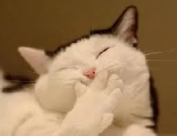 laugh4