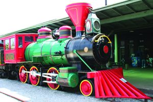 Mayor Paul Dyster has built a $44 million train station for a city that has only a handful of riders per day - for the first time shifting the cost of operating a train station from Amtrak to the taxpayers of Niagara Falls. Perhaps more people will ride the choo choo train once there is a new train station, but don’t bet on it.  