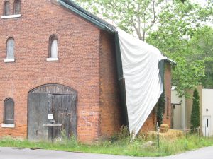 IMG_0203