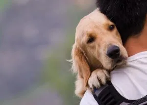 dog-pic