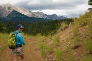 "CELEBRATE NATIONAL TAKE A HIKE DAY!" proclaims Delaware North's eco-newsletter. Wouldn't it be great for downtown Niagara Falls small businesses if they took their own advice.