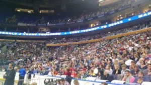 The crowd