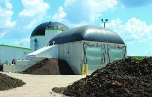 An Equate plant with a pile of shit Equate in the foreground.
