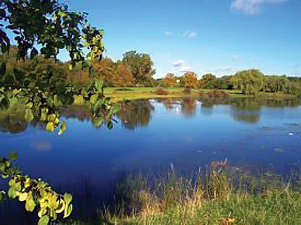 Concern for Environment should be Conservative cause