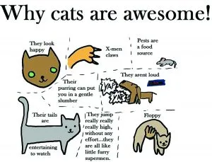 cats1