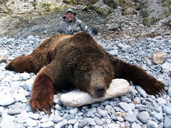 jimmy-john-bear