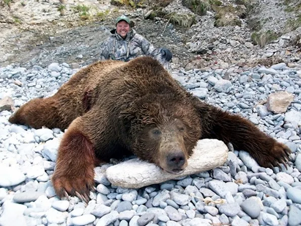 jimmy-john-bear