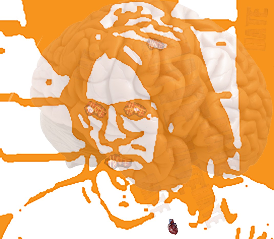 rsanny 7